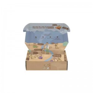 Персонализирани кутии за носене Опаковка за доставка на поща